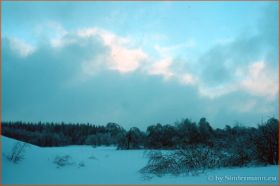 DSC02134.jpg