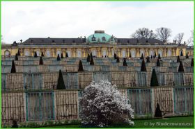 Schloss Sanssouci